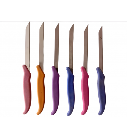 Vegetable Cutting and Chopping Knife (Set of 6)